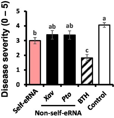 Extracellular self-RNA: A danger elicitor in pepper induces immunity against bacterial and viral pathogens in the field